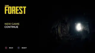 The forest playthrough