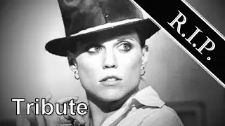 Ann Reinking ● A Simple Tribute