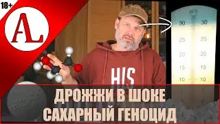 Проверяем максимальную концентрацию сахара для дрожжей. Проект АЛ-Крафт.