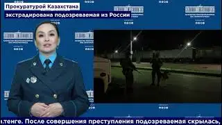 Экстрадиция подозреваемой в мошенничестве