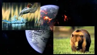 Earth In Crisis As Wildlife Numbers Plummet