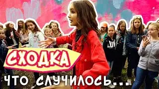 ЧТО СЛУЧИЛОСЬ НА СХОДКЕ...