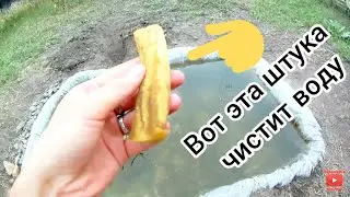 Самодельный фильтр для пруда(аквариума)