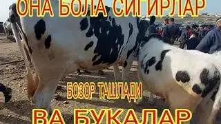 ЧИРОКЧИ ЧОРШАНБА МОЛ БОЗОРИ