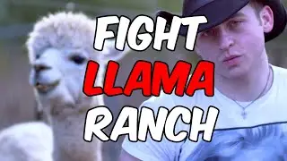 Liam Devlin Gallagher teaches Llama Rizz