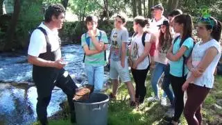 ENature Romeu River Part2