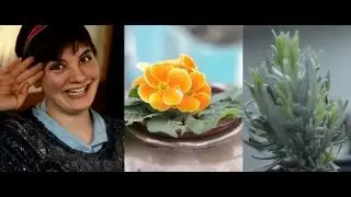 Narrowboat Gardening!