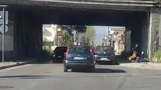 Aggressione di un cane di razza pericolosa