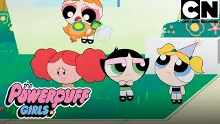 Aulas de amizade, gentileza e defesa com as Meninas | As Meninas Superpoderosas | Cartoon Network 🇧🇷