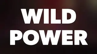 Wild Power. Шоу барабанщиков Zanozzza