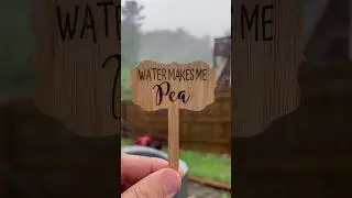 Water Makes Me Pea! #laserengraving #Lasermachine #plants #planttags
