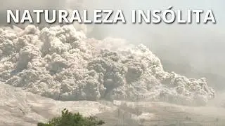 NATURALEZA INSÓLITA | Fenómenos naturales que No parecen reales