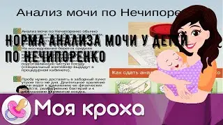 Норма анализа мочи у детей по Нечипоренко