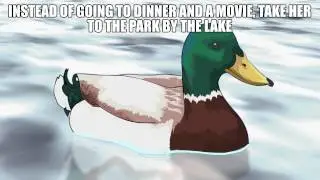 PAPERCUT - Actual Advice Mallard