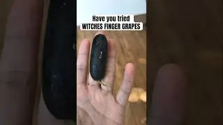 Have you tried witches finger grapes? 