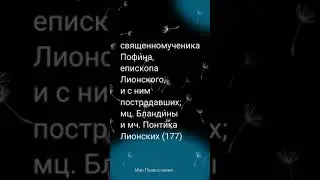 Православный календарь на 15 июня суббота 2024 года