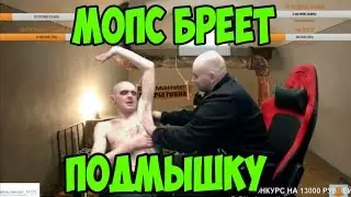 Мопсик бреет подмышку