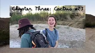 Big Bend National Park Chapter Three: Cactus #23