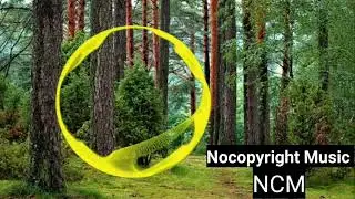 DayFox - Let's Go Somewhere safe music  ( NoCopyright Music NCM) Best 10