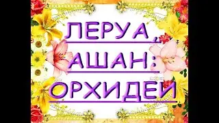 ОРХИДЕИ в ЛЕРУА и АШАНЕ:ЗАВОЗ мини орхидей,29.05.20,Самара,ТЦ 