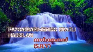 Payganbarimiz MUHAMMAD (S A V)NING ibratli hadistlari albata kuring
