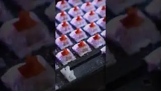 #асмр