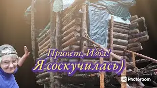 Одна в лесу. Попала в грозу. Живу на месте, отдыхаю.