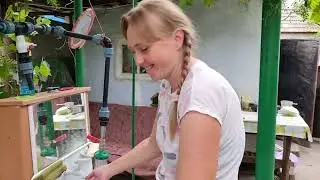 Нашла ему замену) Лена сварила вкусный суп, Готовим желе, Игрушка для Альма, Жизнь в частном доме