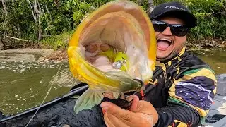 Encontramos o Rei do Lago !!!  #pesca