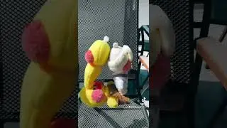УТОЧКИ LOVE РАСПАКОВКА ПОСЫЛКИ ДЛЯ УТКИ 