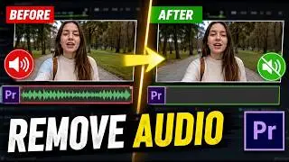 How to Remove Audio from Video in Premiere Pro