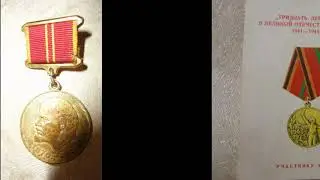 Молчанова Дарья
