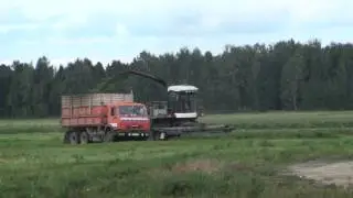РОСТСЕЛЬМАШ ДОН 680,KAMAZ 55102 уборка люцерны на силос.