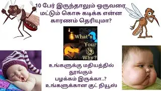 10பேர் இருந்தாலும் ஒருவரை மட்டும் கொசு கடிக்க காரணம்?உங்களுக்கு மதியத்தில் தூங்கும் பழக்கம் இருக்கா?