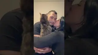 Jealous cat
