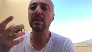 “Cum pot sa am un puls mai scazut pe parcursul alergarii?