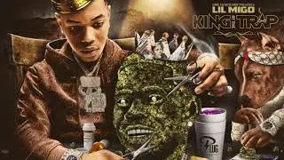 Lil Migo - From the Heart (Audio Visualizer)