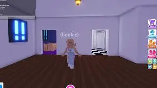 Get to know me! | chocochip cookies