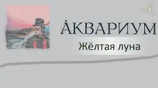 Аквариум - Жёлтая луна (USB). Караоке