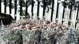 Compost Your Leaves, Autumn Reminder