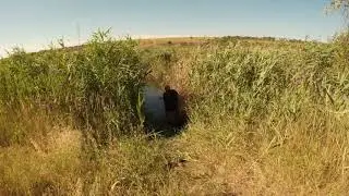Делаем место для ловли линя...