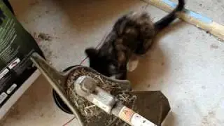 playing with the weed whacker