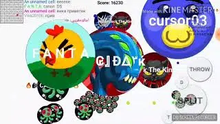 blob io team pro random domination