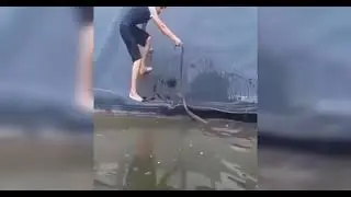 В окружении змей 😱🐍🐍