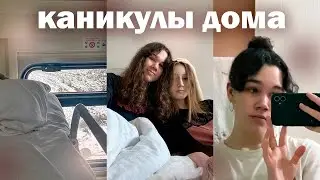 еду домой спустя полгода учебы, каникулы