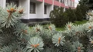Про санаторий 