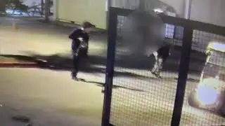14-year-old Houston Farmers Market suspected shooter arrested