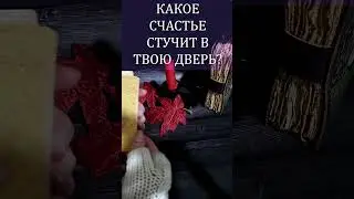 КАКОЕ СЧАСТЬЕ СТУЧИТ В ТВОЮ ДВЕРЬ?