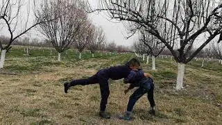 Гӯштин 2019