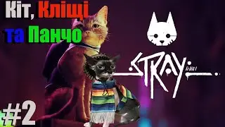 Кіт у панчо►Stray